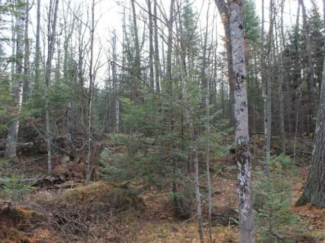 On On Cth G, Unit LT 9 Mercer, WI 54547 - Photo 5 of 15 Gallery Image 5