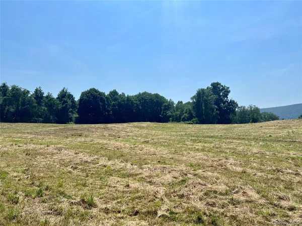 a view of a field with trees in the background