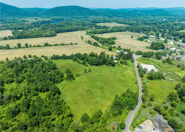 a view of a lush green hillside and houses