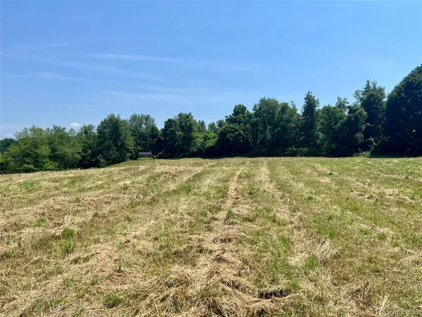 a view of a outdoor space with swimming pool and trees in the background