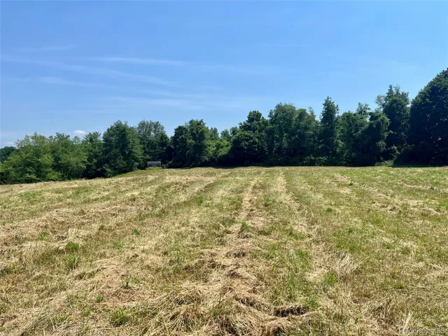 a view of a outdoor space with swimming pool and trees in the background