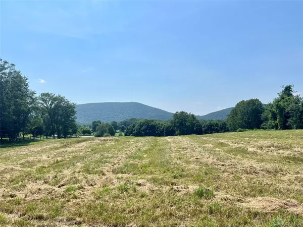 a view of a field with an ocean