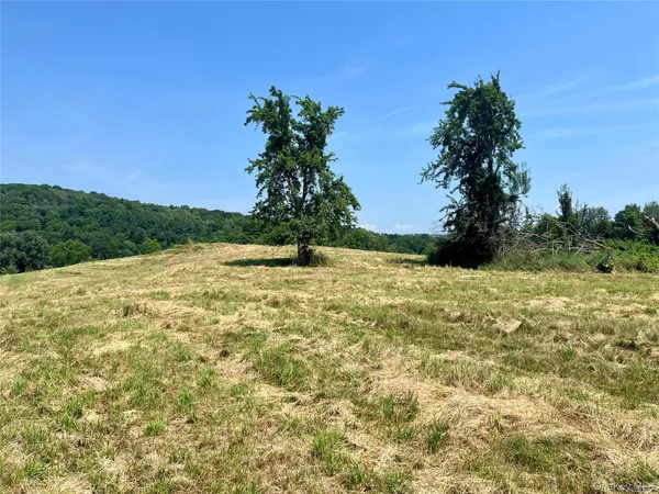 a view of yard with swimming pool and green space