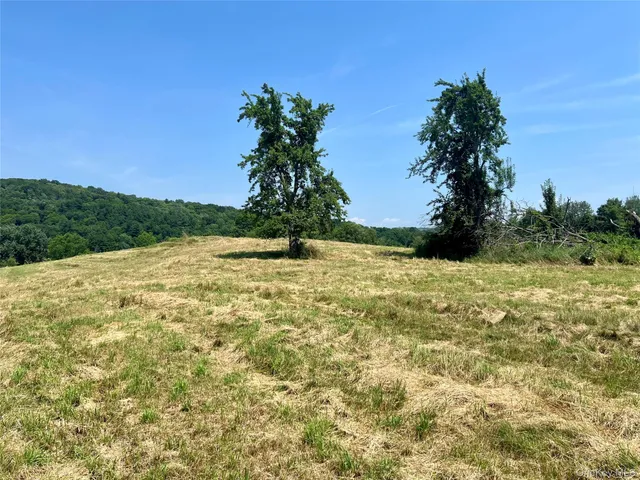 a view of yard with swimming pool and green space
