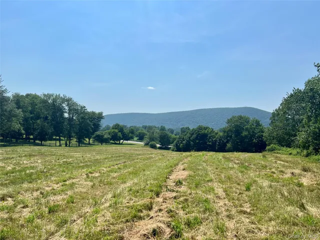 a view of grassy field with trees