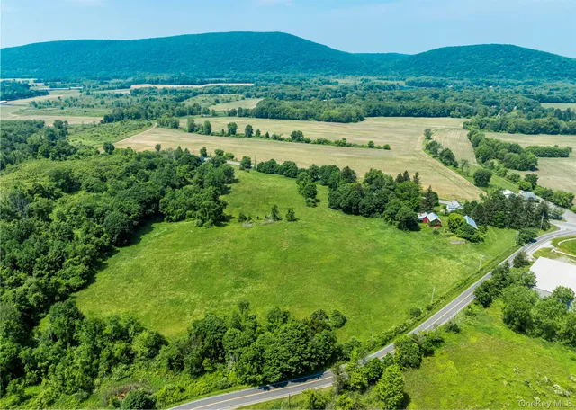 a view of a lush green hillside and houses