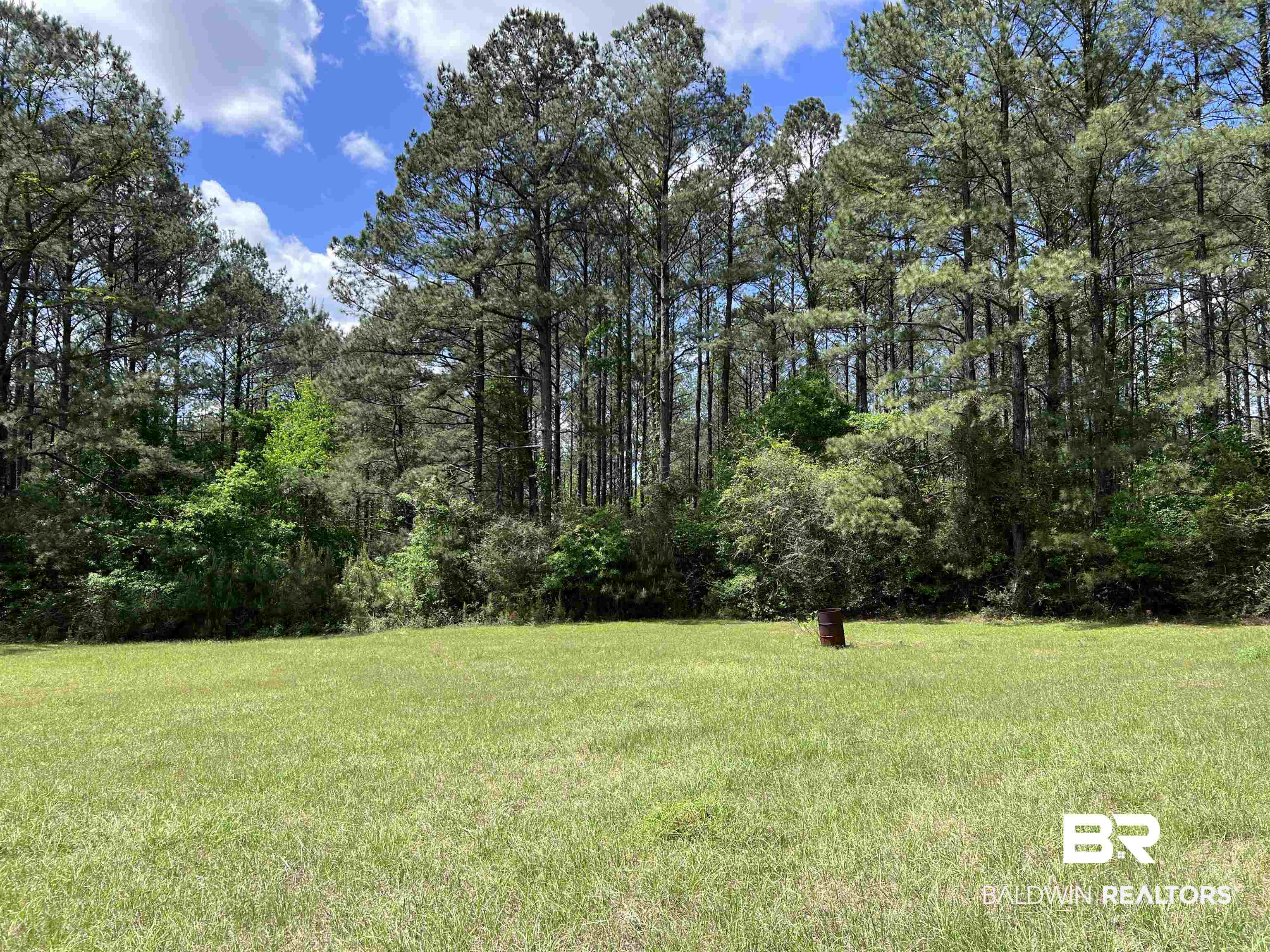 1375 Jones Chapel Road Evergreen, AL 36401 - Photo 31 of 32