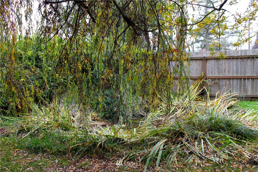 161 Rodgers Road Silverlake, WA 98645 - Photo 22 of 25 Gallery Image 22