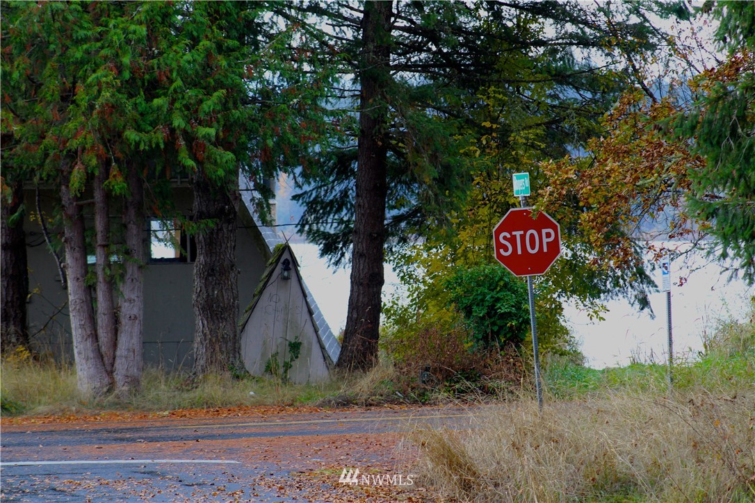 161 Rodgers Road Silverlake, WA 98645 - Photo 25 of 25 Gallery Image 25