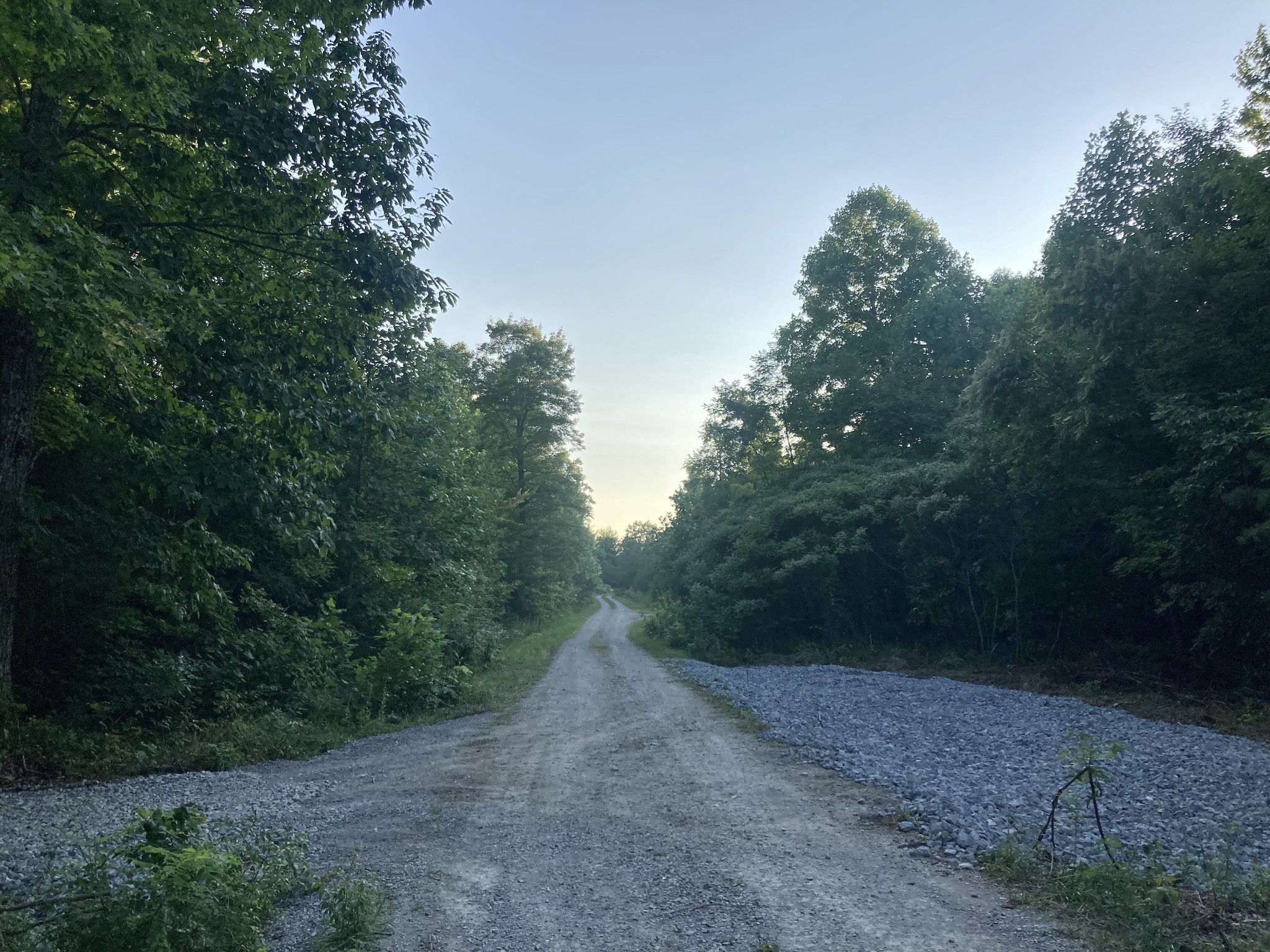 0 Allred Cemetery Road Jamestown, TN 38556 - Photo 5 of 22 Gallery Image 5