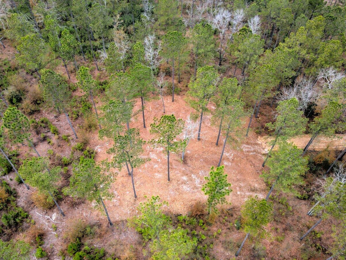 0 Deer Run Road, Unit F2 Williston, SC 29853 - Photo 14 of 24 Gallery Image 14