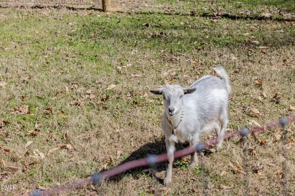 $1,200,000 | 4000 Woodland Park Drive, Hillsborough, NC 27278