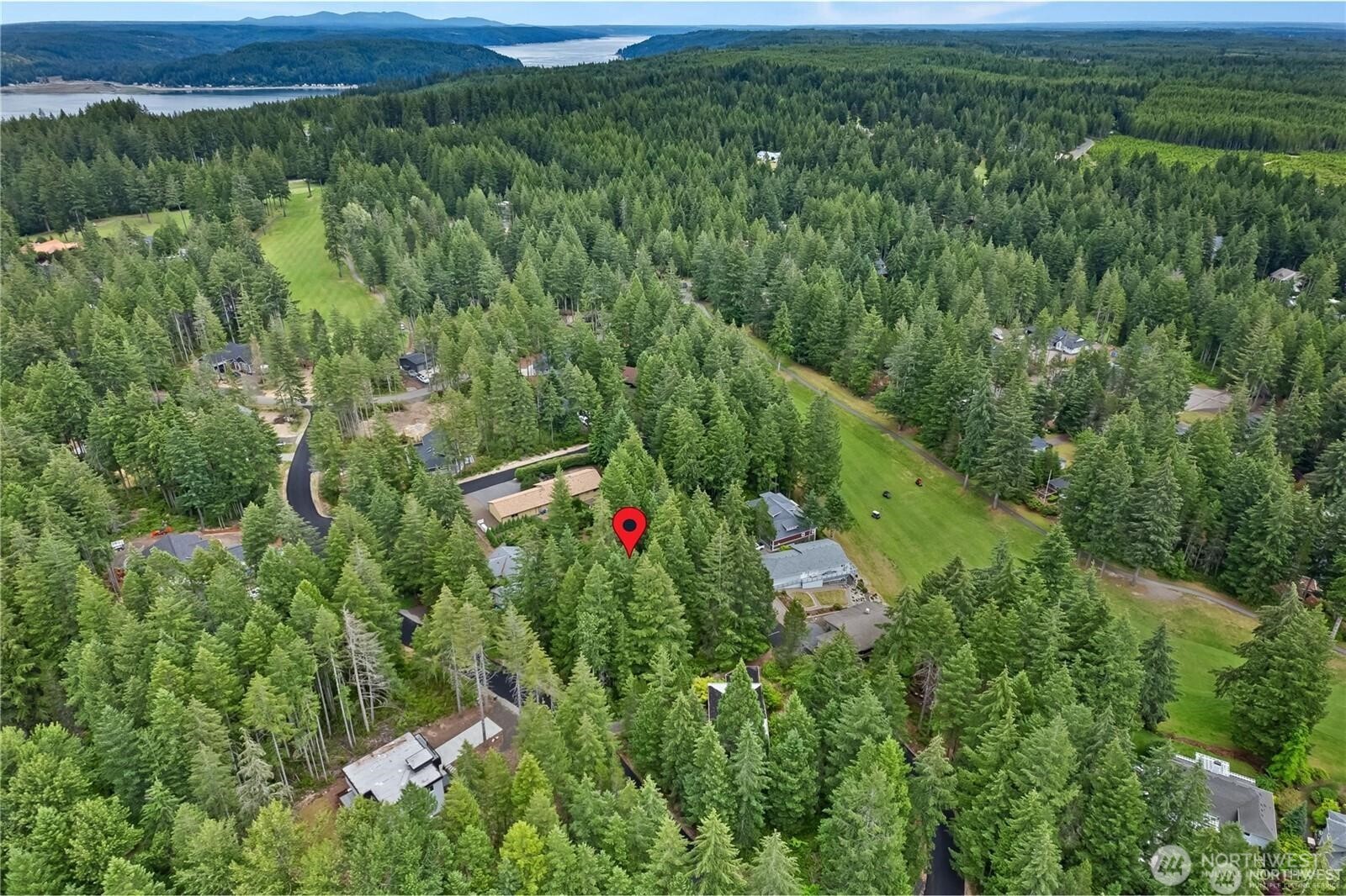100 East Fir Tree Lane Union, WA 98592 - Photo 7 of 12 an aerial view of residential houses with outdoor space and trees