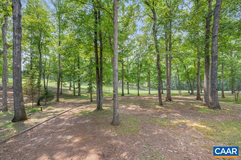 28 Out Of Bounds Road Palmyra, VA 22963 - Photo 38 of 40 Gallery Image 38