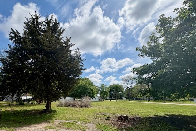 211 South Appleton Avenue Amboy, IL 61310 - Photo 4 of 4