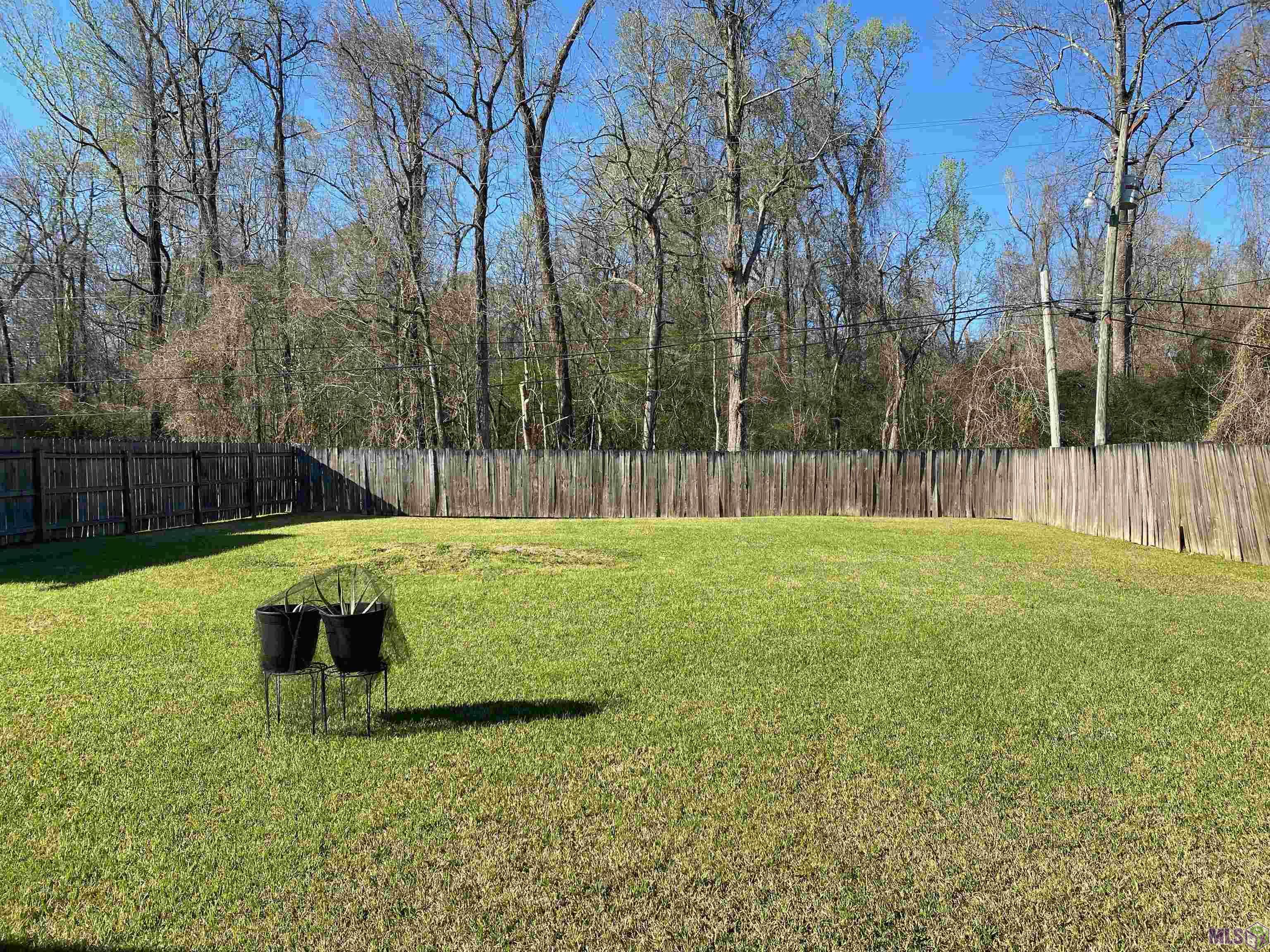 14455 Sunnyhill Avenue Baton Rouge, LA 70819 - Photo 15 of 21 Back Yard