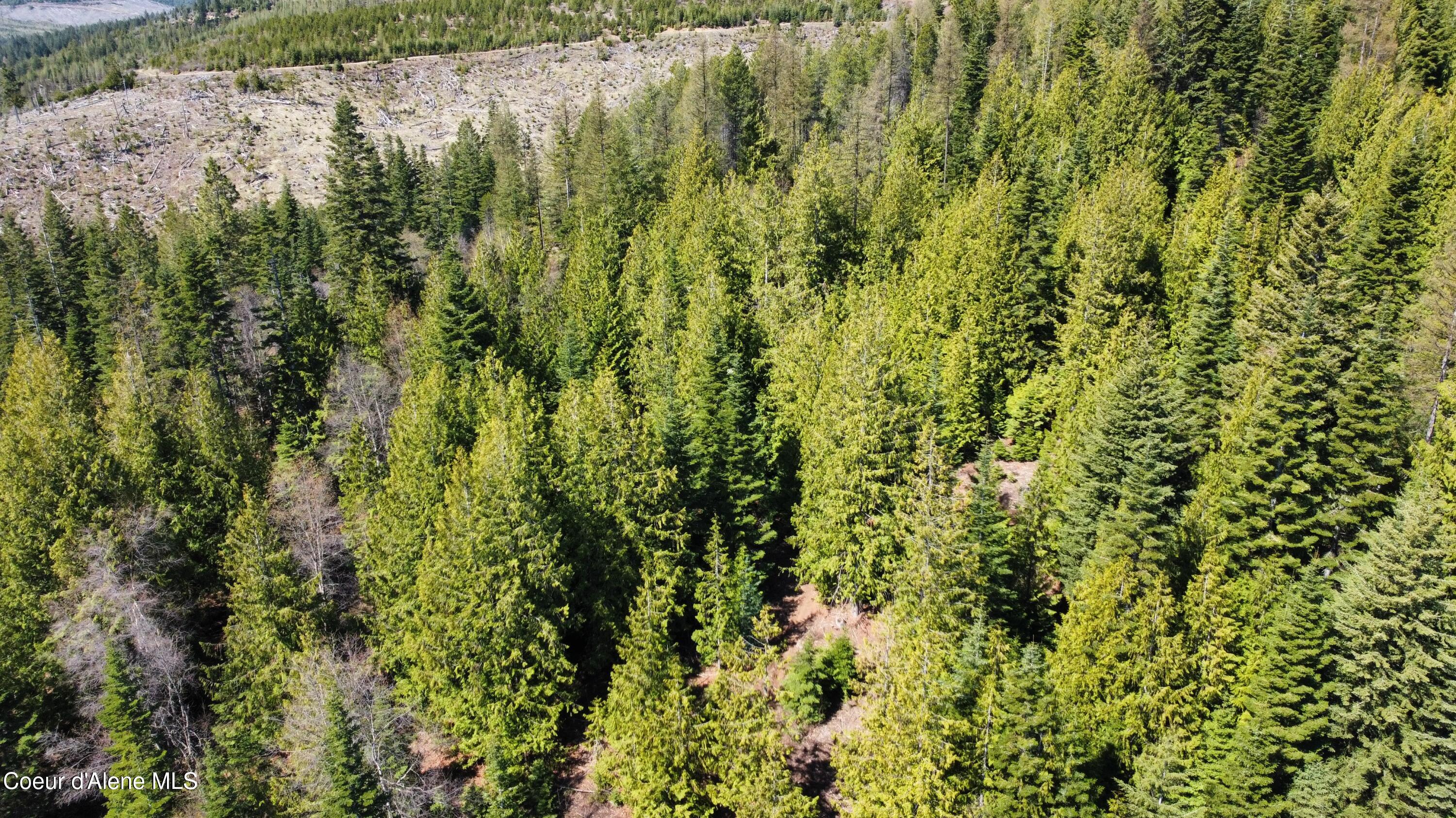 Nka Alder Creek Road St. Maries, ID 83861 - Photo 1 of 16 dji_fly_20250423_110824_708_174543219943