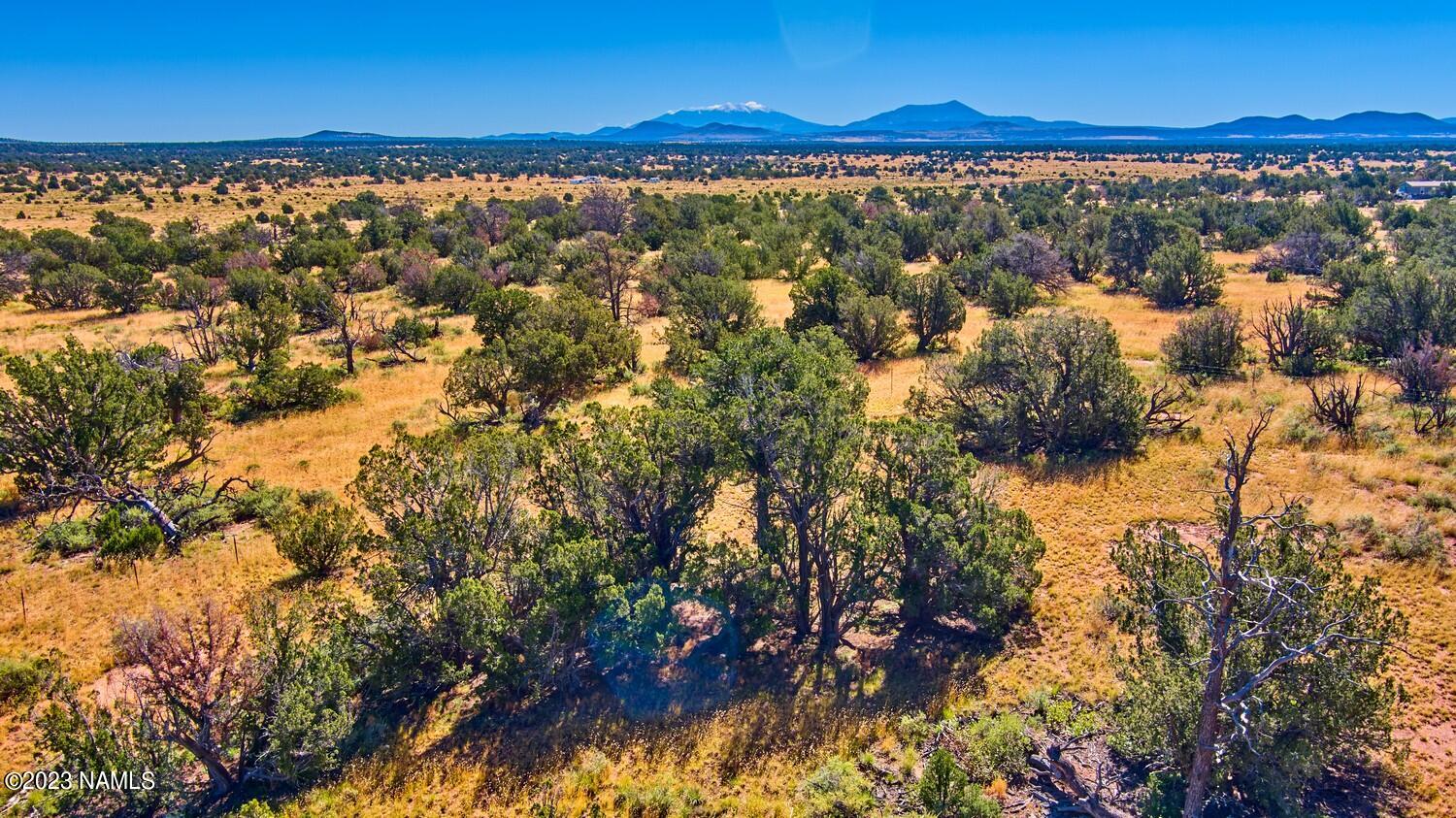 240 North Wyandotte Road Williams, AZ 86046 - Photo 3 of 7 Aerial 1