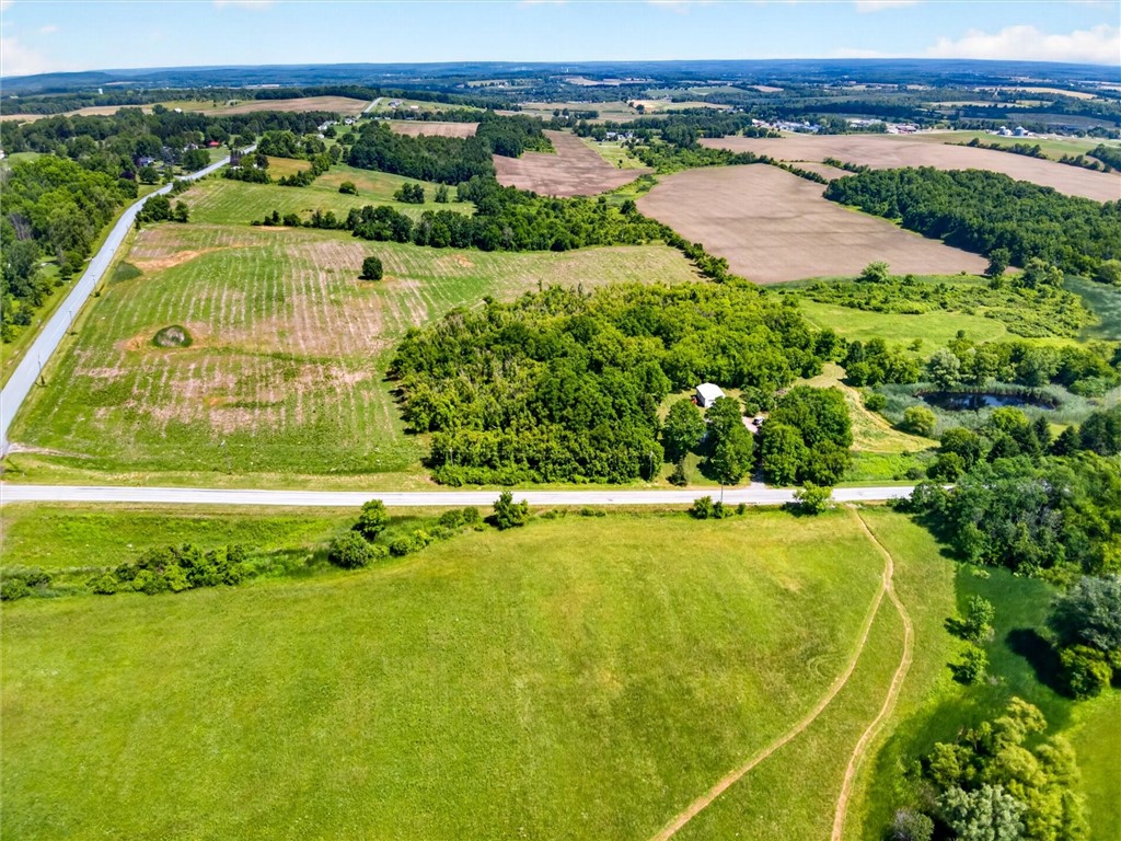 7142 Woolston Road East Bloomfield, NY 14469 - Photo 38 of 48 from the 20 Acre side looking NORTH (Oakmount is on Left of land)