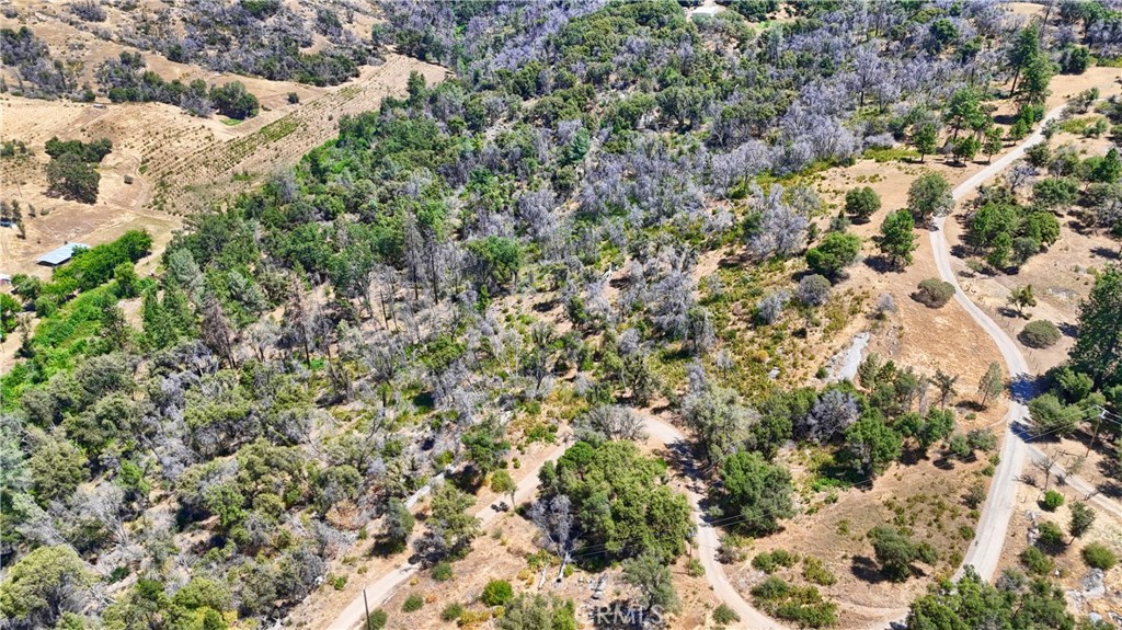 5641B Darrah Road Mariposa, CA 95338 - Photo 49 of 55 a view of a forest with a tree
