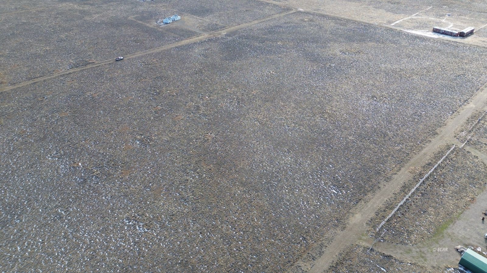 Calcite Avenue Elko, NV 89801 - Photo 6 of 24