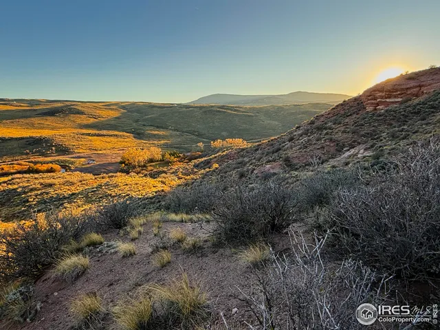 a view of a couch in a backyard