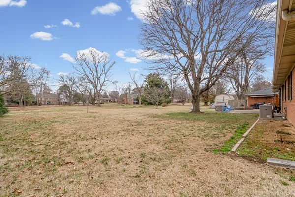 a view of yard with tree