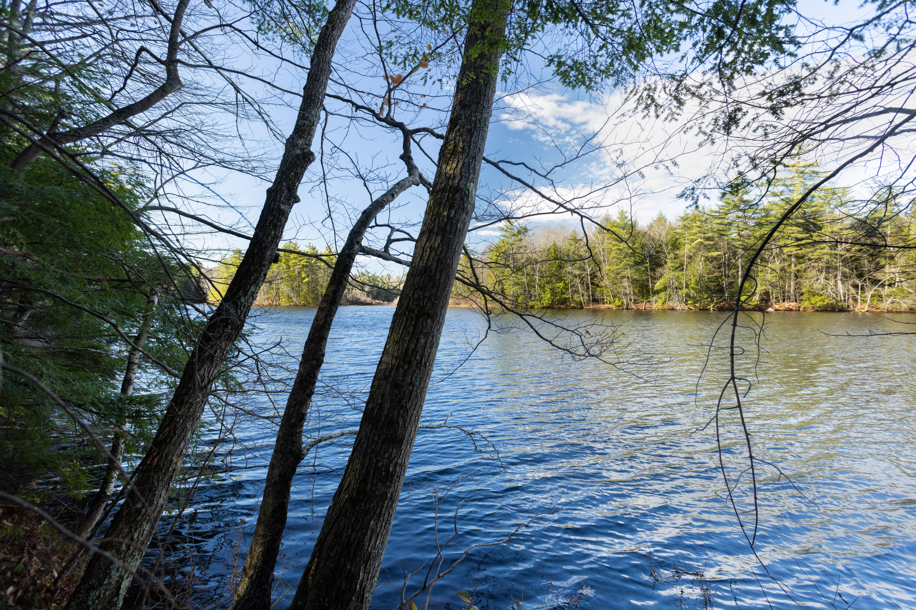 Tbd Tbd Branch View Terrace, Unit LOT 5 Alfred, ME 04002 - Photo 15 of 22 Branch View Estates, Alfred