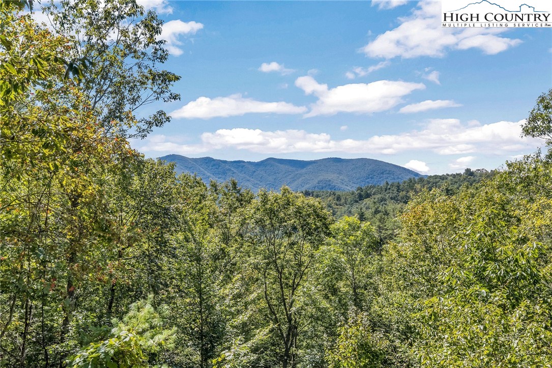 2314 North Fork New River Road Lansing, NC 28643 - Photo 42 of 50