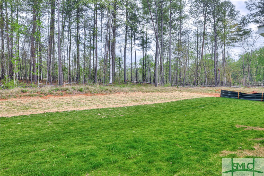 171 West E Smith Road Pembroke, GA 31321 - Photo 50 of 50