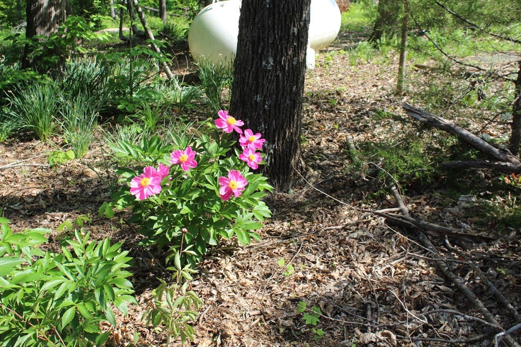 297 Legrande Road Dillwyn, VA 23936 - Photo 63 of 65 Gallery Image 63