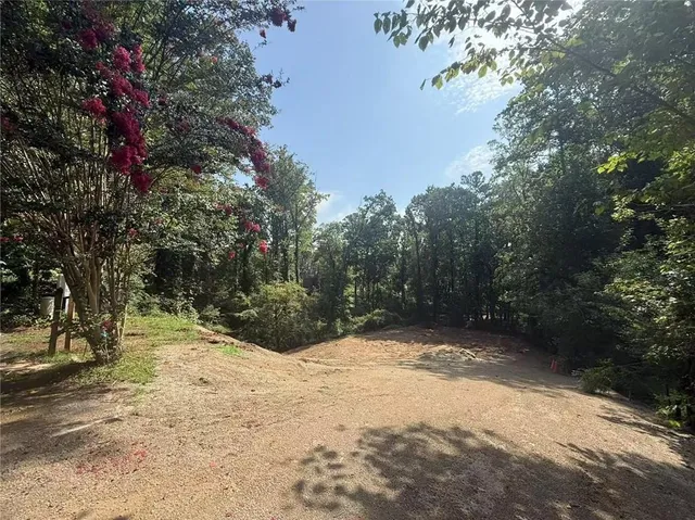 a view of a yard with a tree