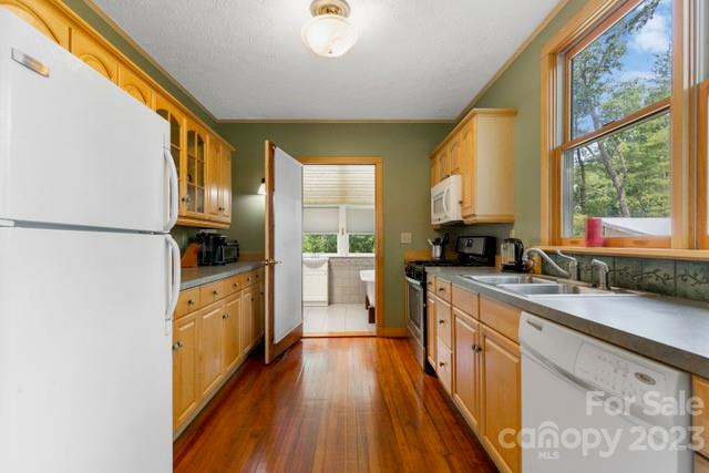 29 Caledonia Road Asheville, NC 28803 - Photo 18 of 26 Gallery Image 18