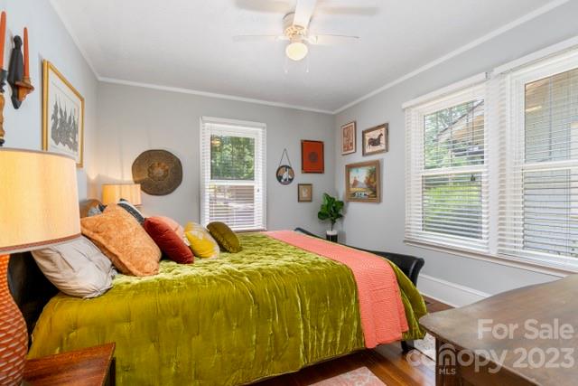 29 Caledonia Road Asheville, NC 28803 - Photo 9 of 26 Gallery Image 9