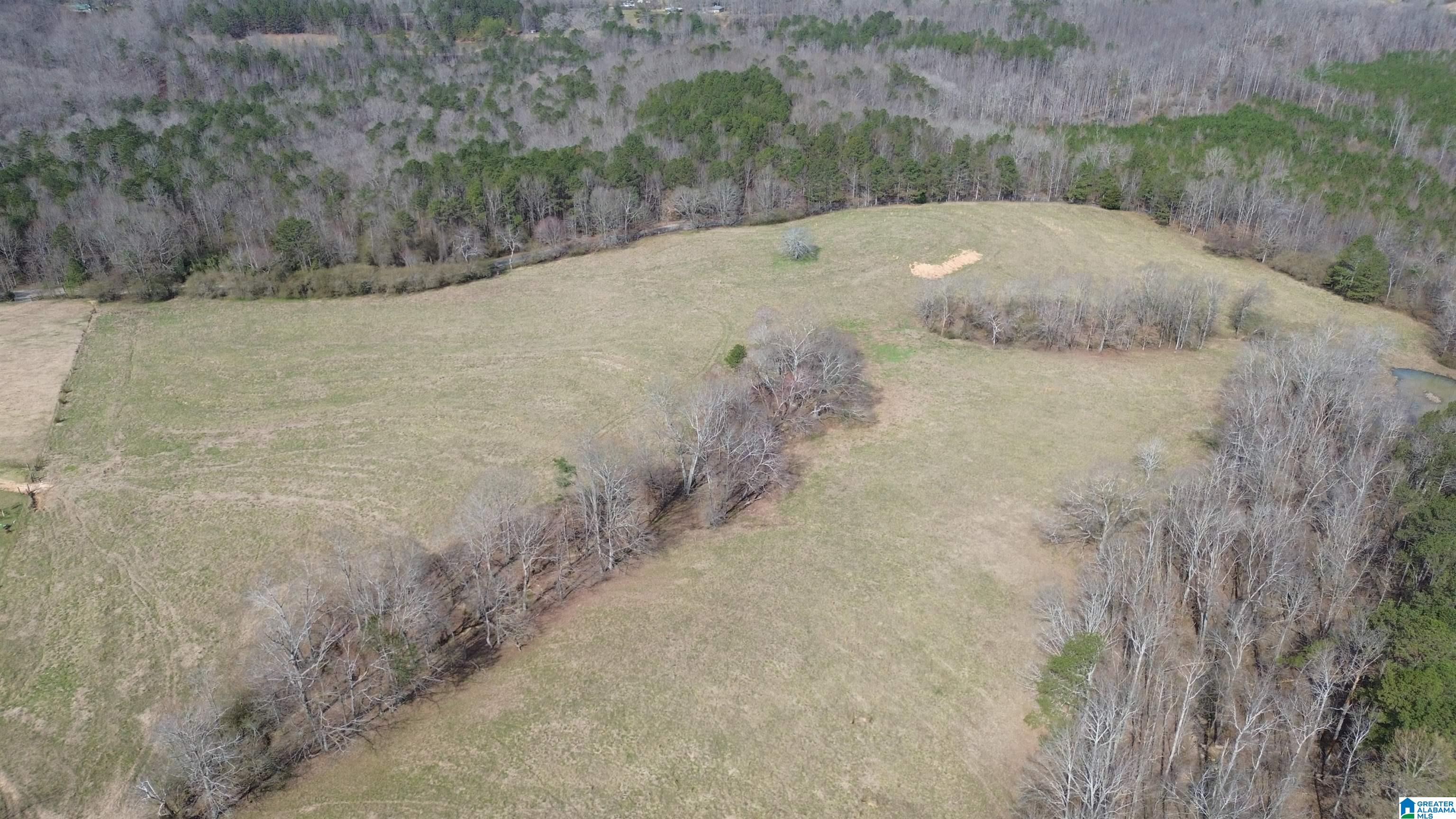 1404 Burton Loop Road, Unit 1404 Altoona, AL 35952 - Photo 3 of 7