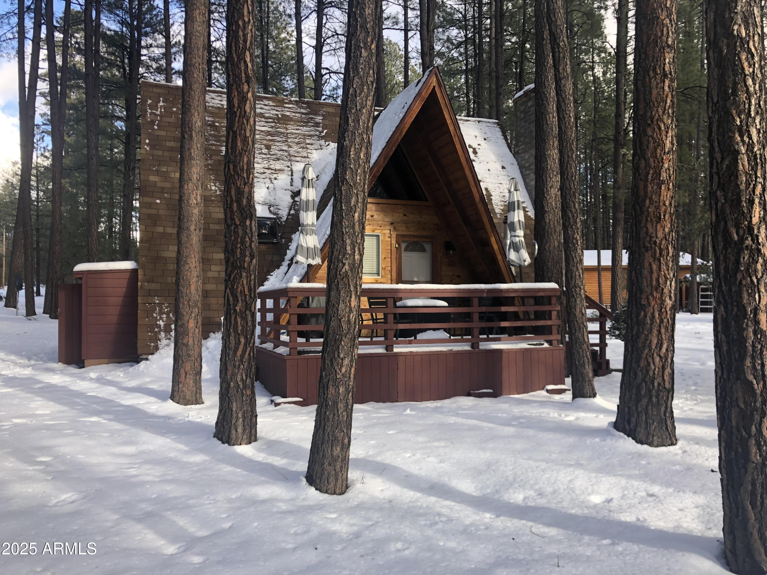 370 North Coyote Trail Payson, AZ 85541 - Photo 2 of 41 Snow