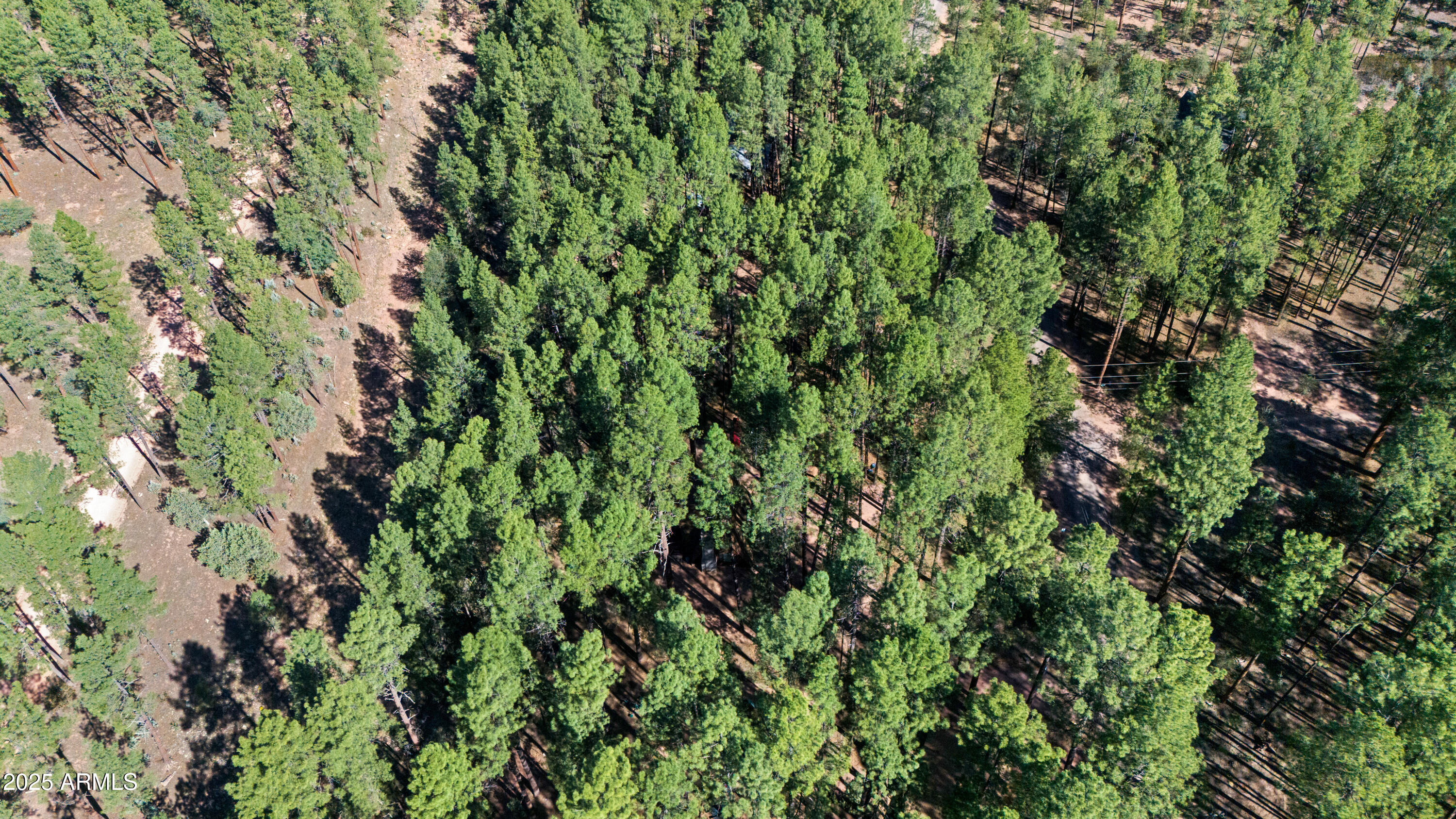 370 North Coyote Trail Payson, AZ 85541 - Photo 37 of 41 Aerial 6