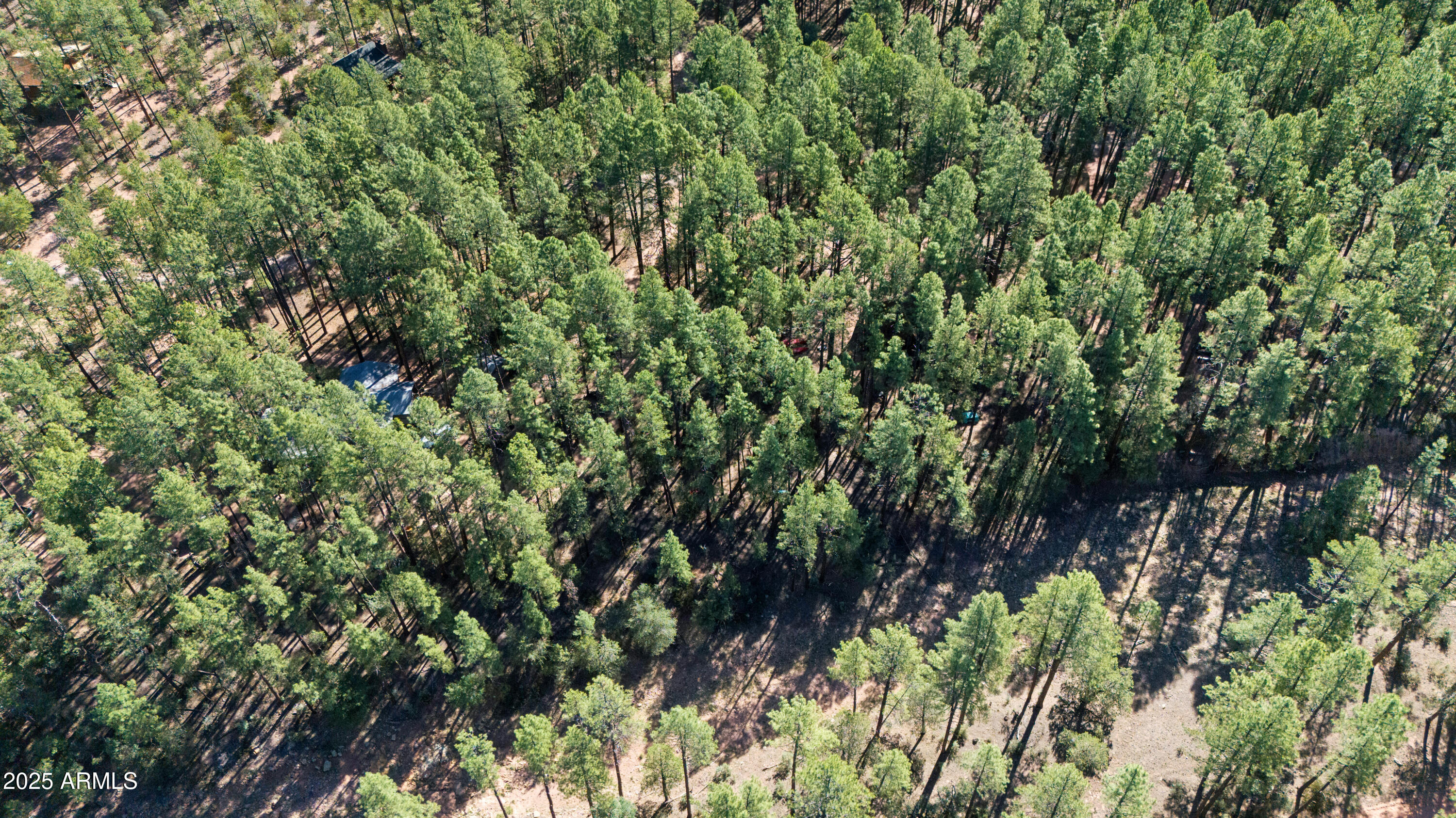 370 North Coyote Trail Payson, AZ 85541 - Photo 38 of 41 Aerial 5