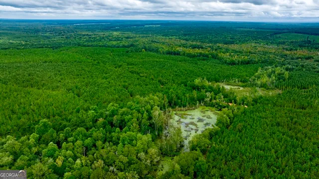 a view of yard with grass and yard