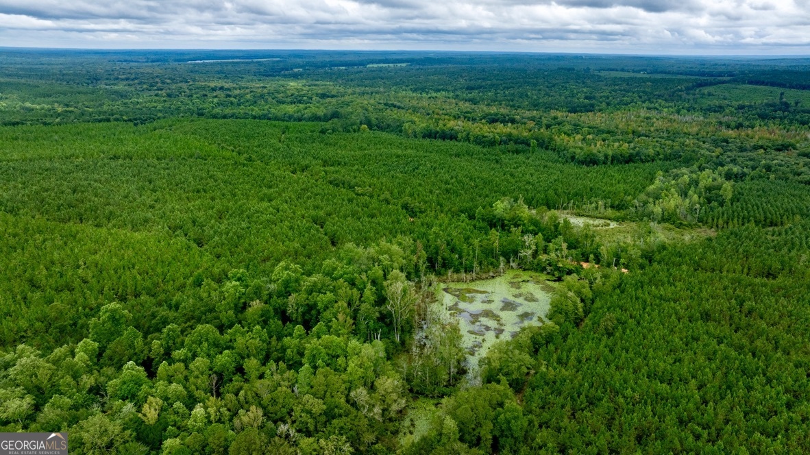 a view of yard with grass and yard