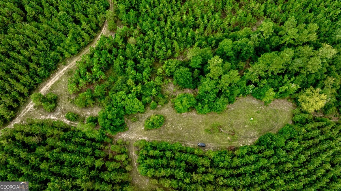 0 Pine Creek Road Ellaville, GA 31806 - Photo 12 of 23 a view of a garden