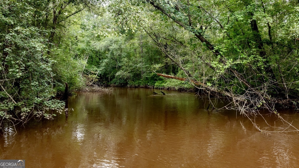 0 Pine Creek Road Ellaville, GA 31806 - Photo 13 of 23 a view of lake