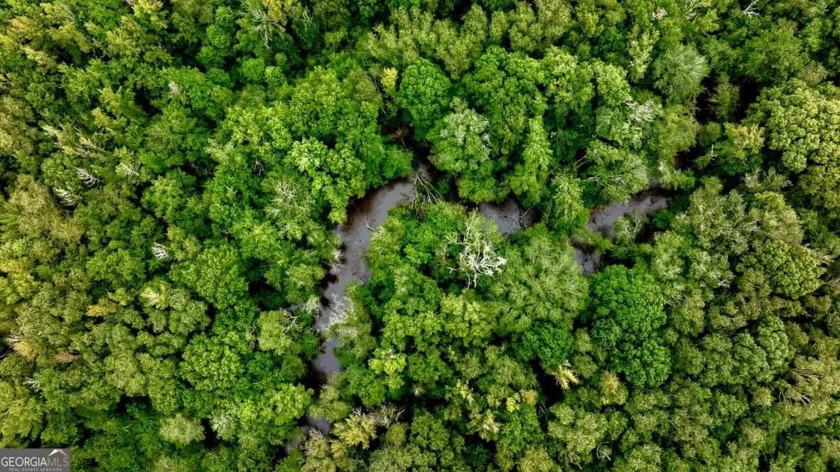 0 Pine Creek Road Ellaville, GA 31806 - Photo 16 of 23 a view of a lush green space