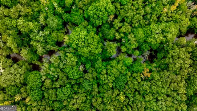 a view of a lush green field