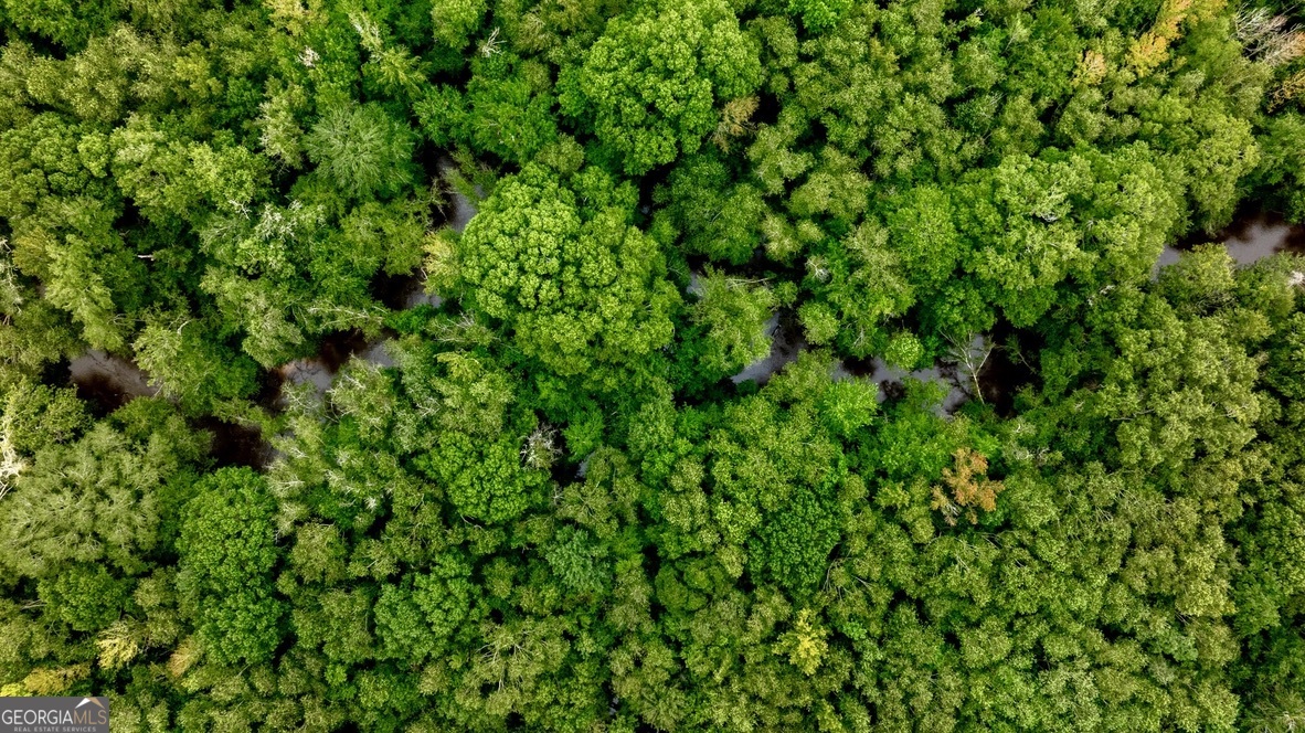 0 Pine Creek Road Ellaville, GA 31806 - Photo 17 of 23 a view of a lush green field