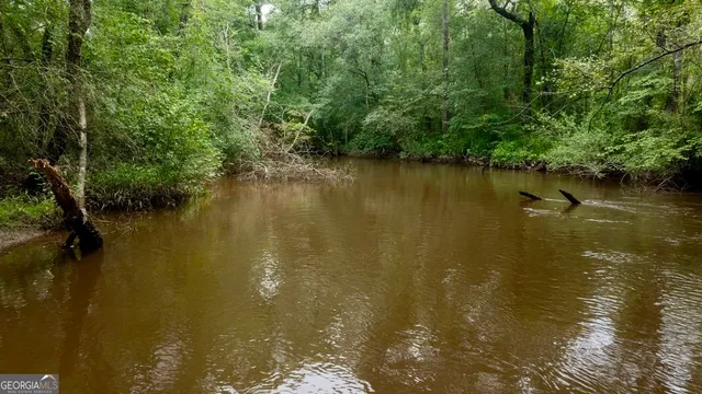 a view of a lush green space