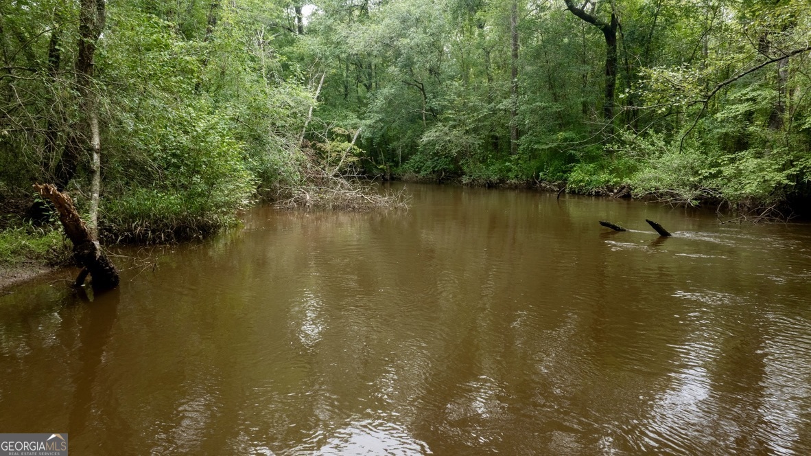 0 Pine Creek Road Ellaville, GA 31806 - Photo 18 of 23