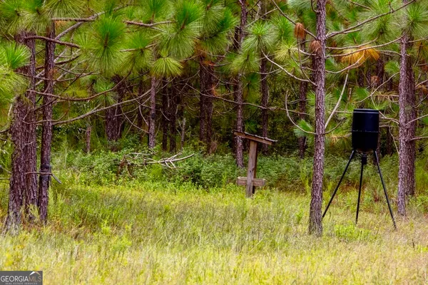 a view of a yard with a table and chairs under an umbrella