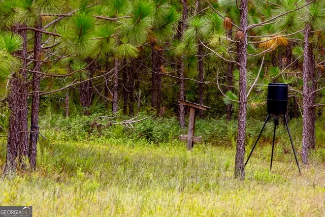 a view of a yard with a table and chairs under an umbrella