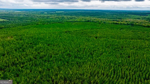 a view of yard with grass and house